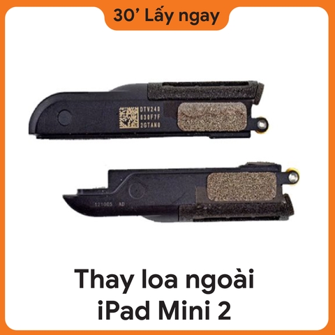 Thay Loa Ngoài iPad Mini 2