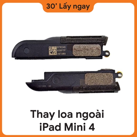 Thay Loa Ngoài iPad Mini 4