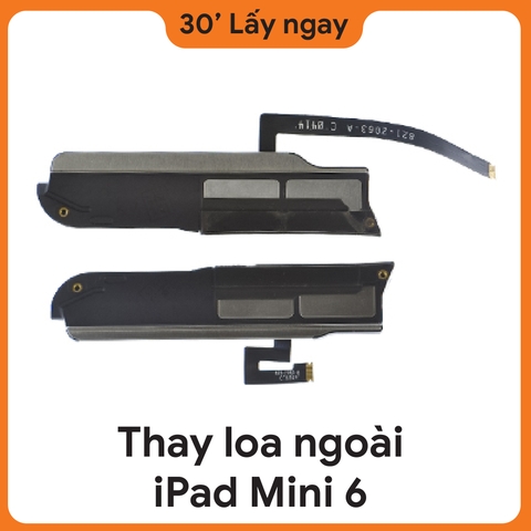 Thay Loa Ngoài iPad Mini 6