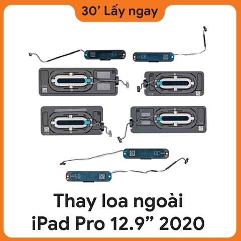 Thay Loa Ngoài iPad Pro 12.9 2020