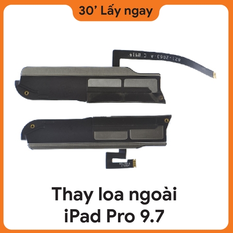 Thay Loa iPad Pro 9.7