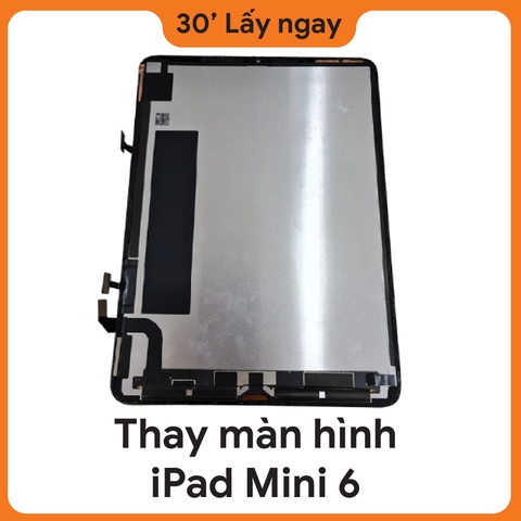 Thay màn hình iPad Mini 6