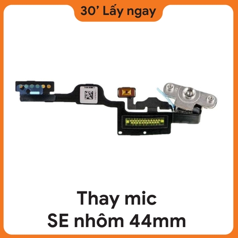 Thay Mic Apple Watch SE 2020