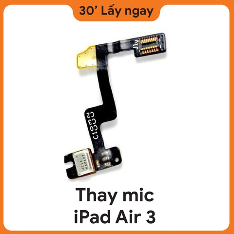 Thay Mic iPad Air 3