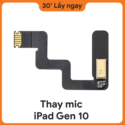 Thay Mic iPad Gen 10