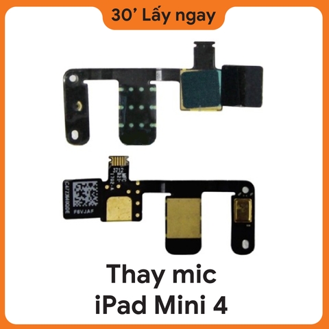 Thay Mic iPad Mini 4