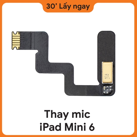 Thay Mic iPad Mini 6