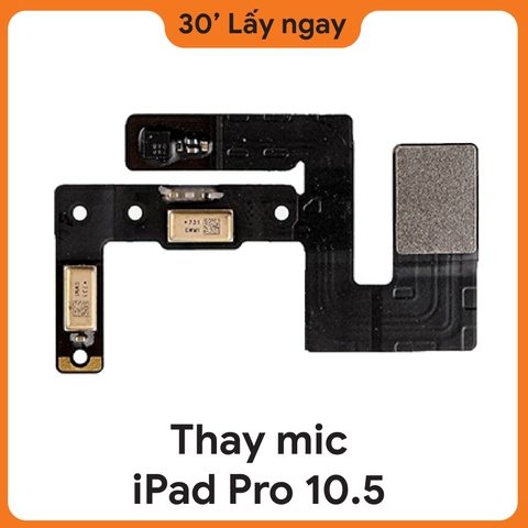 Thay Mic iPad Pro 10.5