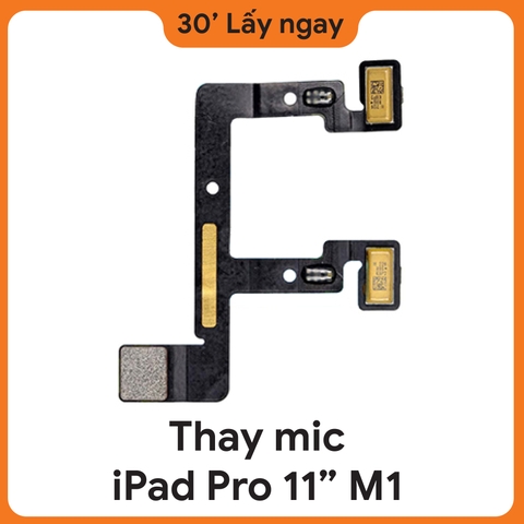 Thay Mic iPad Pro M1 11 2021