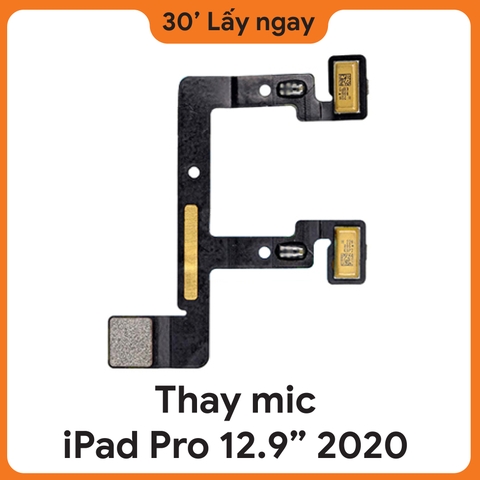 Thay Mic iPad Pro 12.9 2020