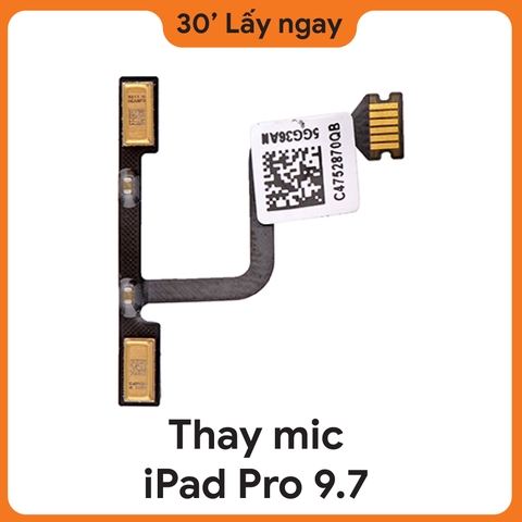 Thay Mic iPad Pro 9.7