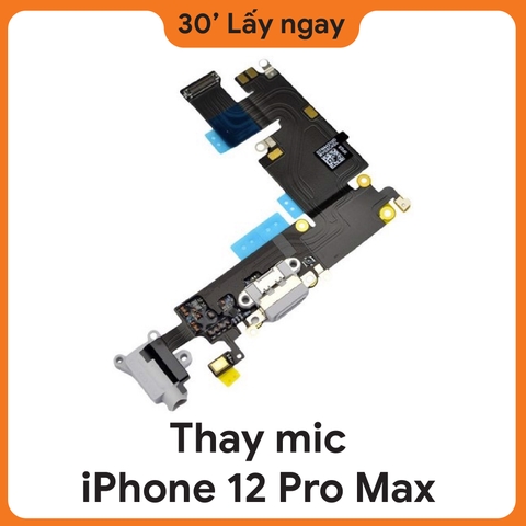 Thay Mic iPhone 12 Pro Max