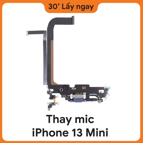 Thay Mic iPhone 13 Mini