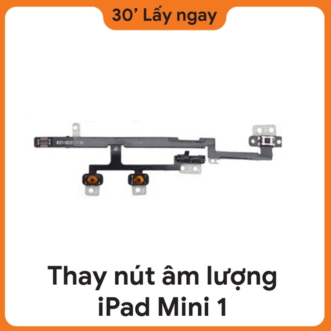 Thay Dây Âm Lượng iPad Mini 1
