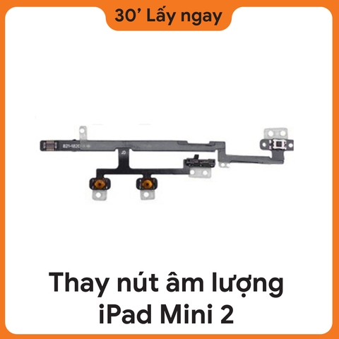 Thay Dây Âm Lượng iPad Mini 2