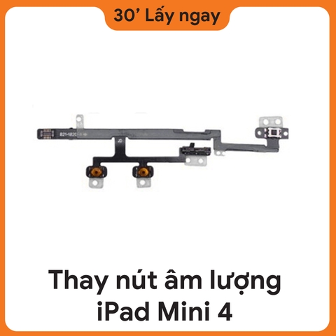 Thay Dây Âm Lượng iPad Mini 4