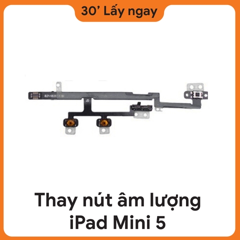 Thay Dây Âm Lượng iPad Mini 5