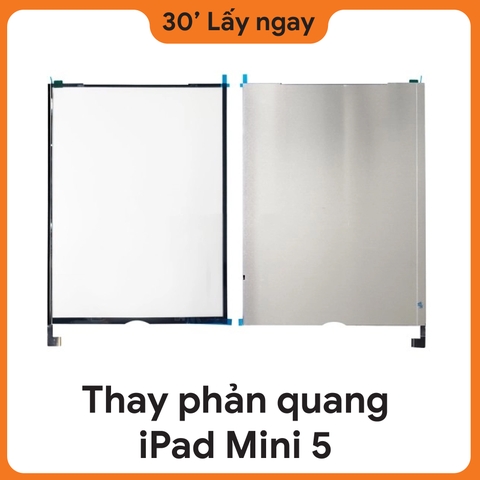 Thay Phản quang iPad Mini 5