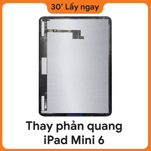 Thay Phản quang iPad Mini 6
