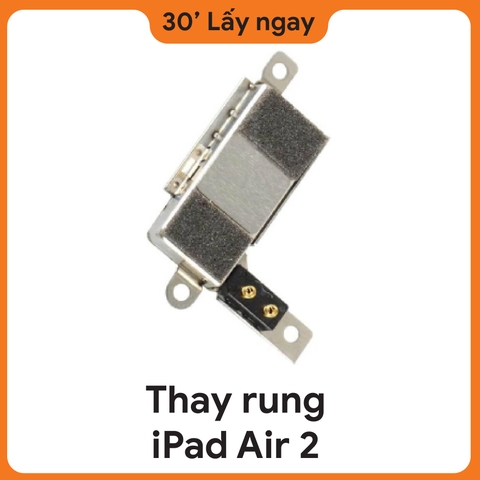 Thay Rung iPad Air 2
