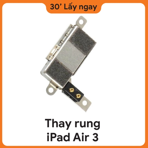 Thay Rung iPad Air 3