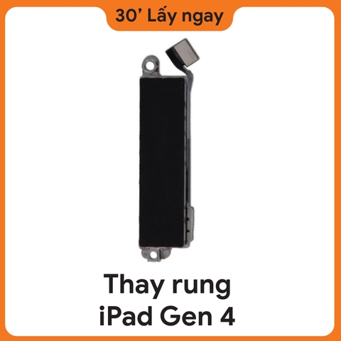 Thay Rung iPad Gen 4
