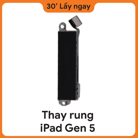 Thay Rung iPad Gen 5
