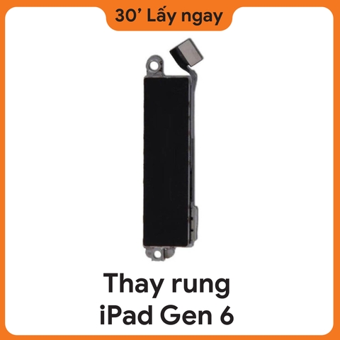 Thay Rung iPad Gen 6