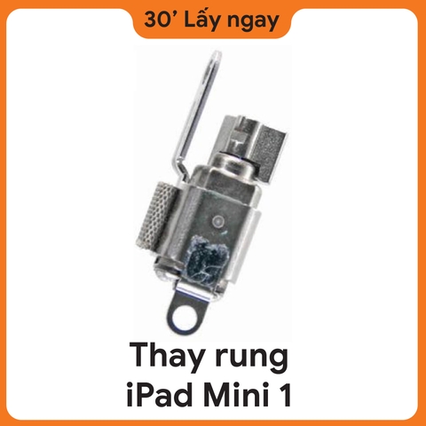 Thay Rung iPad Mini 1