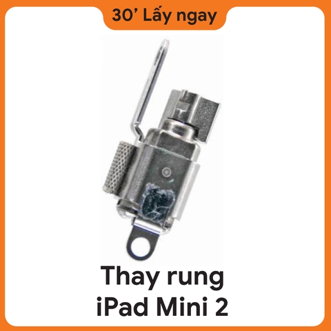 Thay Rung iPad Mini 2