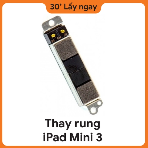 Thay Rung iPad Mini 3