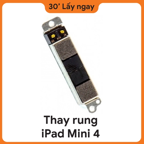 Thay Rung iPad Mini 4