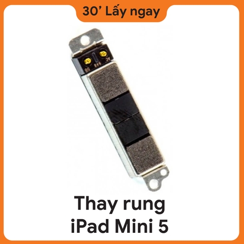 Thay Rung iPad Mini 5