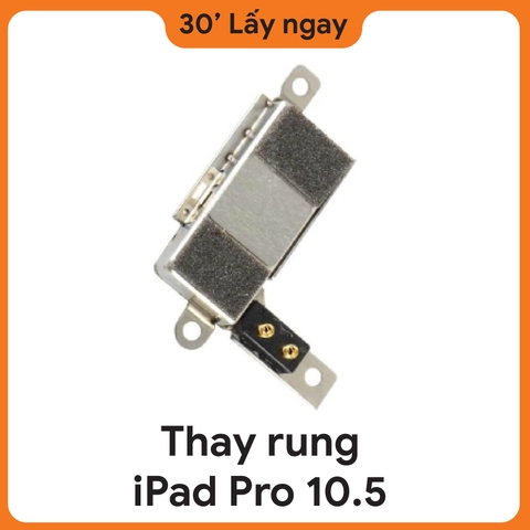 Thay Rung iPad Pro 10.5