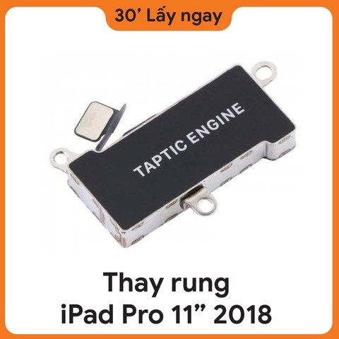 Thay Rung iPad Pro 11 2018