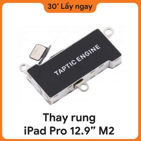 Thay Rung iPad Pro M2 12.9 2022