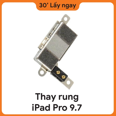 Thay Rung iPad Pro 9.7
