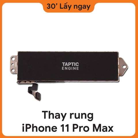 Thay rung iPhone 11 Pro Max