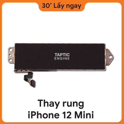 Thay rung iPhone 12 mini