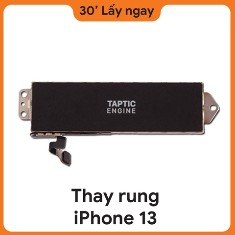 Thay rung iPhone 13