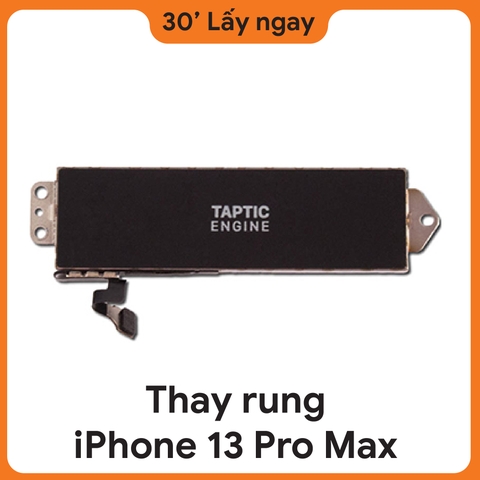 Thay rung iPhone 13 Pro Max