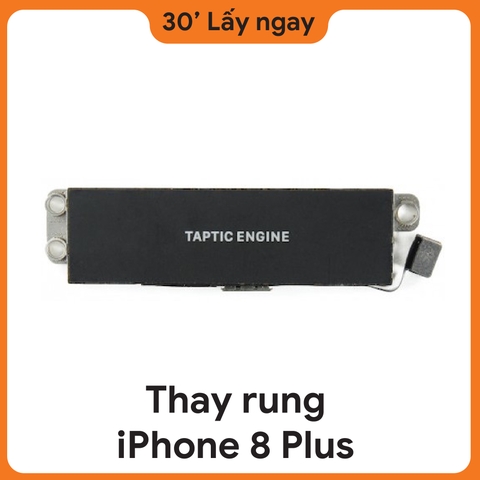 Thay rung iPhone 8 Plus