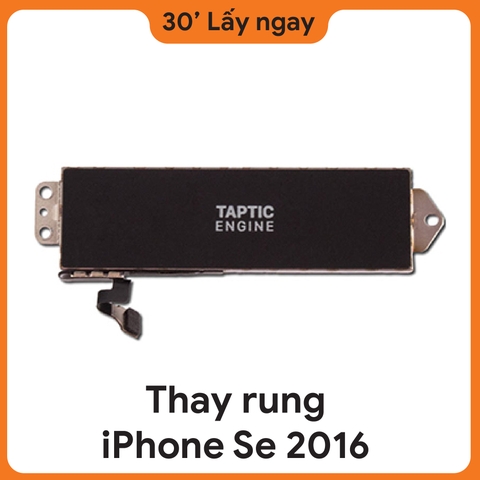 Thay rung iPhone SE 2016