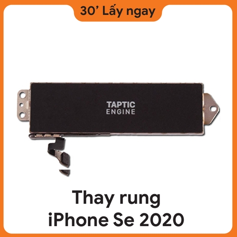 Thay rung iPhone SE 2020