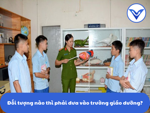 Đối tượng nào thì phải đưa vào trường giáo dưỡng?