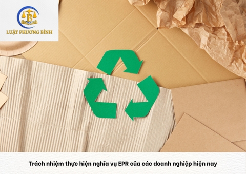 Trách nhiệm thực hiện nghĩa vụ EPR của các doanh nghiệp