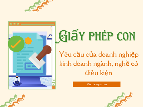 Giấy phép con - Yêu cầu của doanh nghiệp kinh doanh ngành, nghề có điều kiện | Vietlawyer.vn