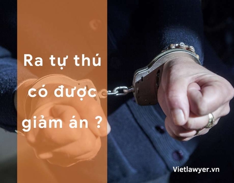 Ra Tự Thú Có Được Giảm Án Không | Luật Sư Của Bạn | Vietlawyer.vn