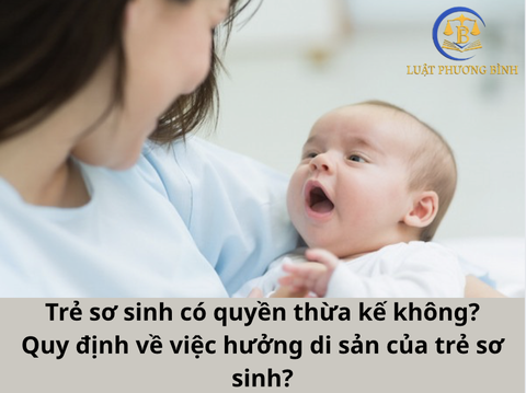 Trẻ sơ sinh có quyền thừa kế không? Quy định về việc hưởng di sản của trẻ sơ sinh?