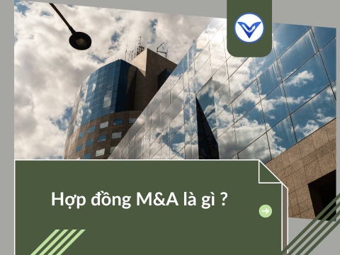 Hợp đồng M&A là gì ? (Phần I)